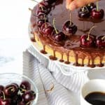 No Bake Coffee Cheesecake W/ Dark Chocolate Coffee Ganache And Capresso Review