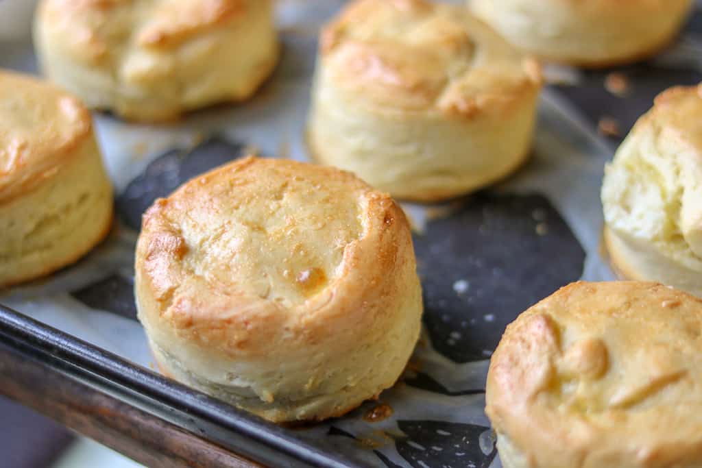 How to make gluten-free biscuits - Gluten-free biscuits made completely from scratch, buttery, soft, and gluten-free. This recipe is made with all butter and no xanthan gum! How to make gluten-free biscuits - Gluten-free biscuits made completely from scratch, buttery, soft, and gluten-free. This recipe is made with all butter and no xanthan gum!