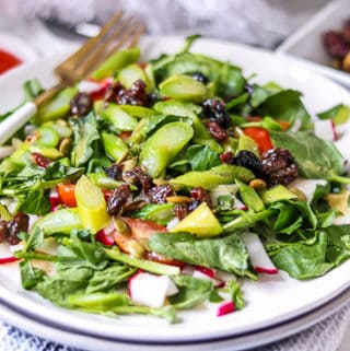 Asparagus Salad Recipe with Cranberry Dressing