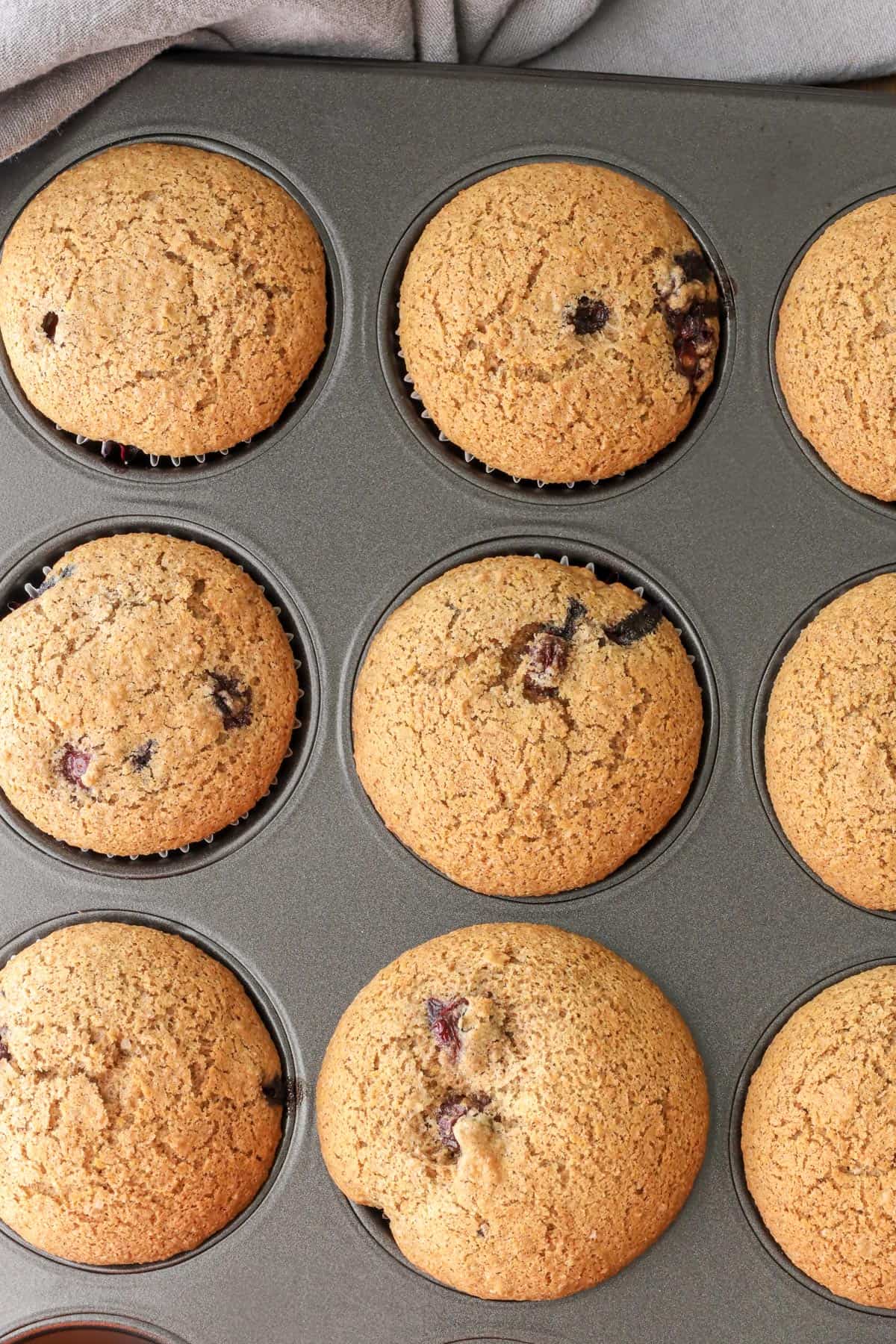 baked blueberry muffins in muffin tray