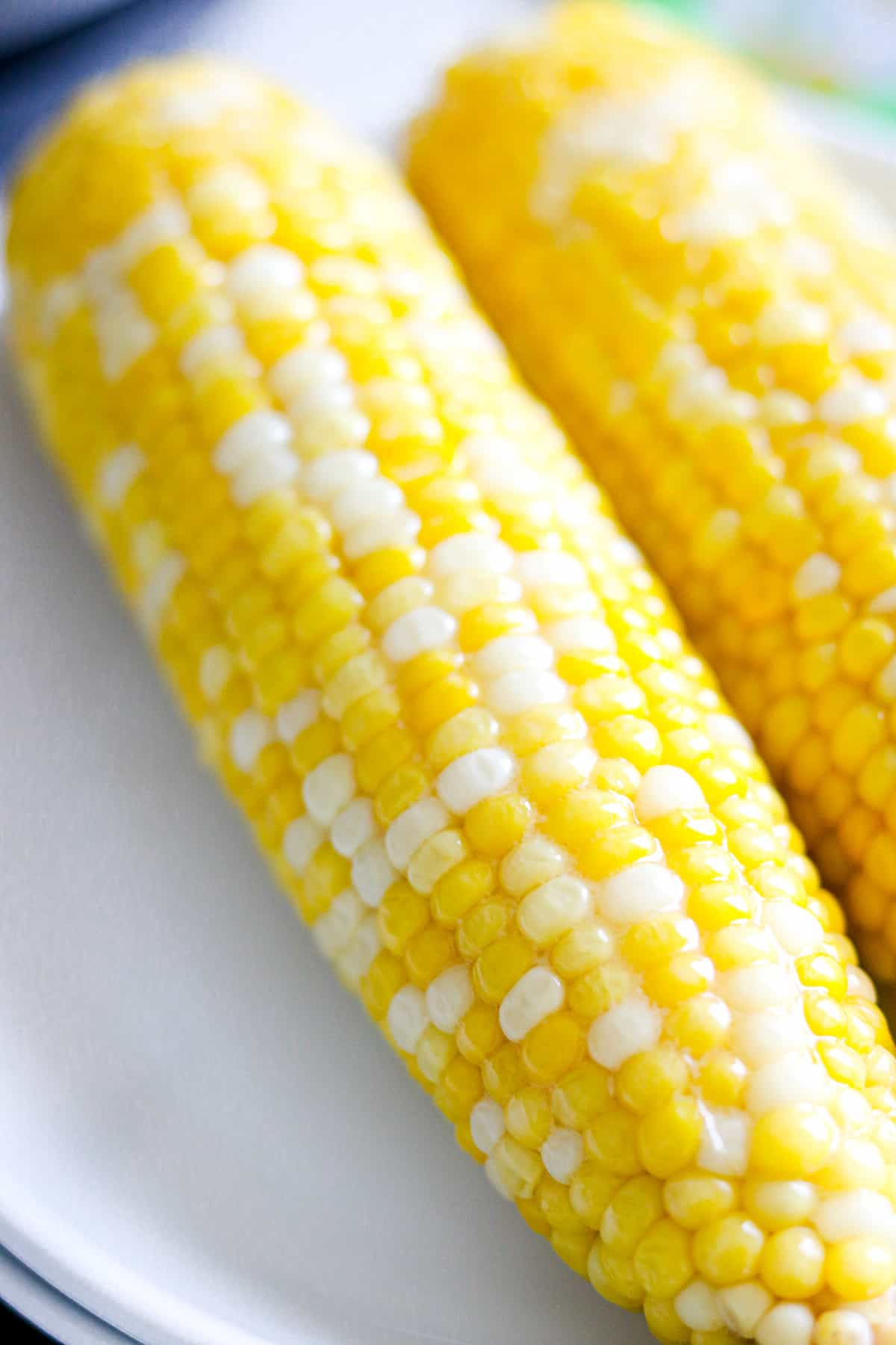 Corn on the cob on white plate