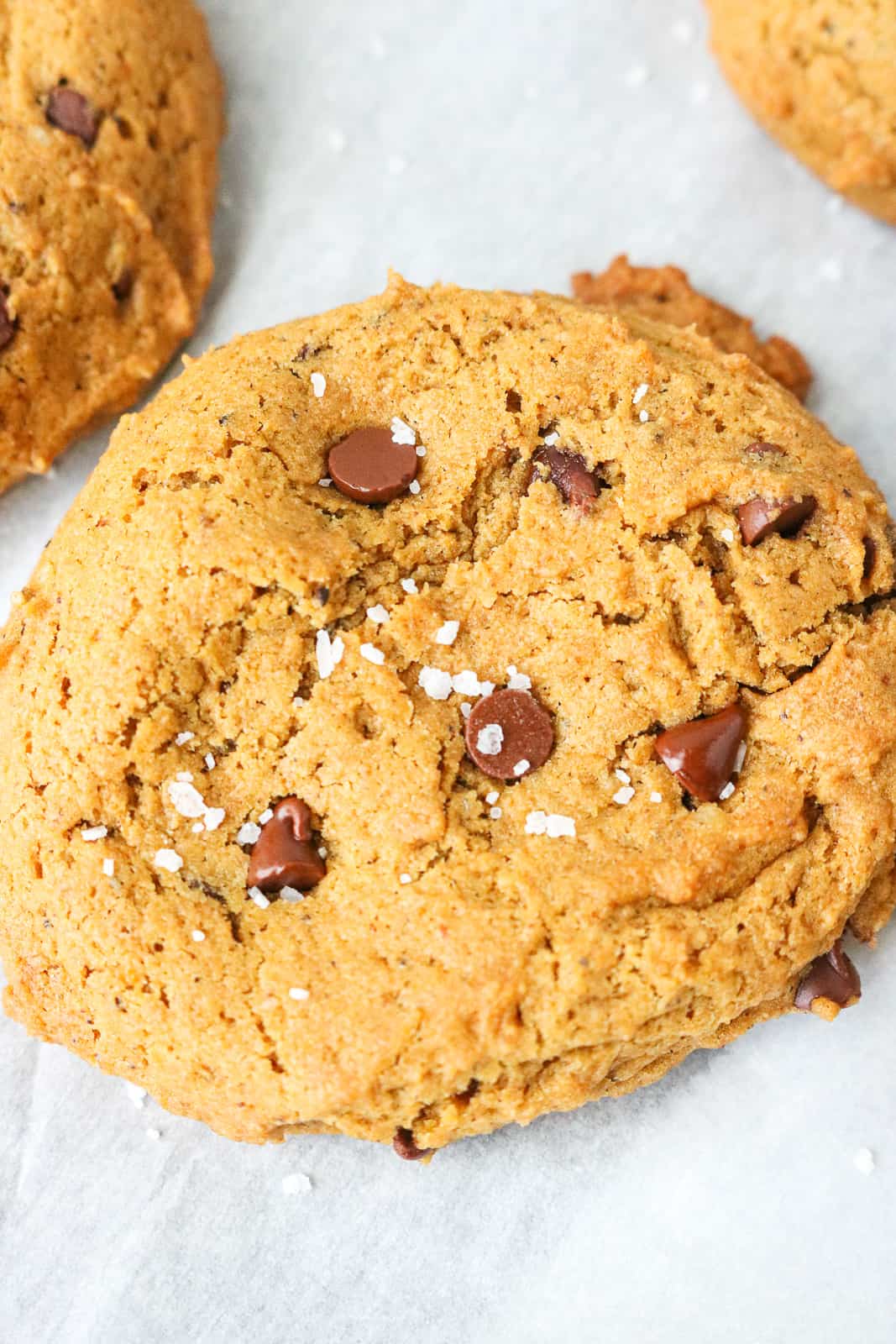 Vegan Pumpkin Chocolate Chip Cookies with salt on top