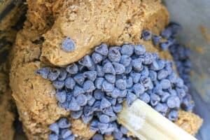 chocolate chips added to cookie dough