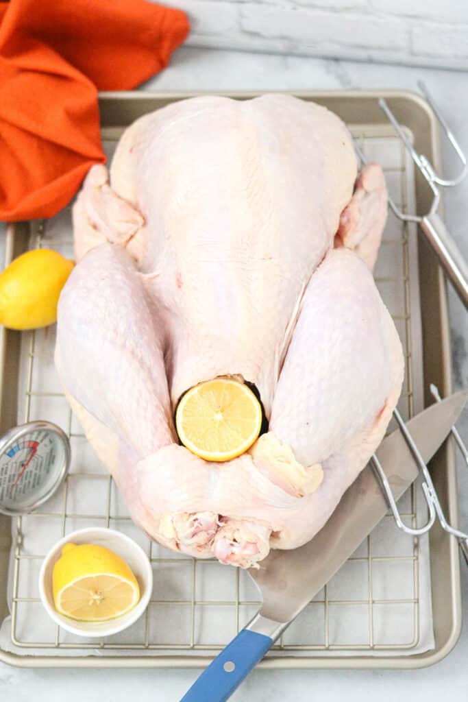 Raw turkey with lemons on a cookie tray