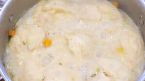 dumplings cooking