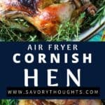 Air Fryer Cornish Hen Pinterest Pin