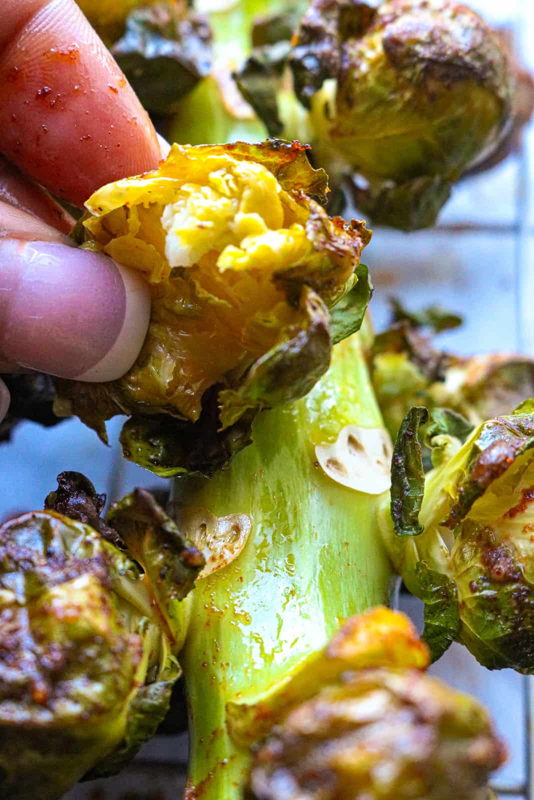 hand squeezing Brussel sprout on stalk