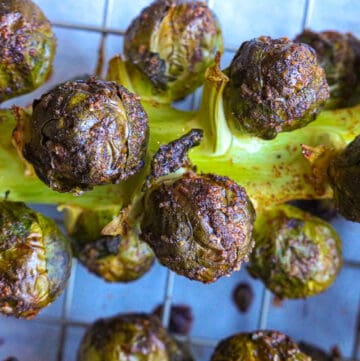 roasted brussels sprouts stalks on cooking rack