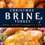 Pinterest Pin For Turkey with two pictures