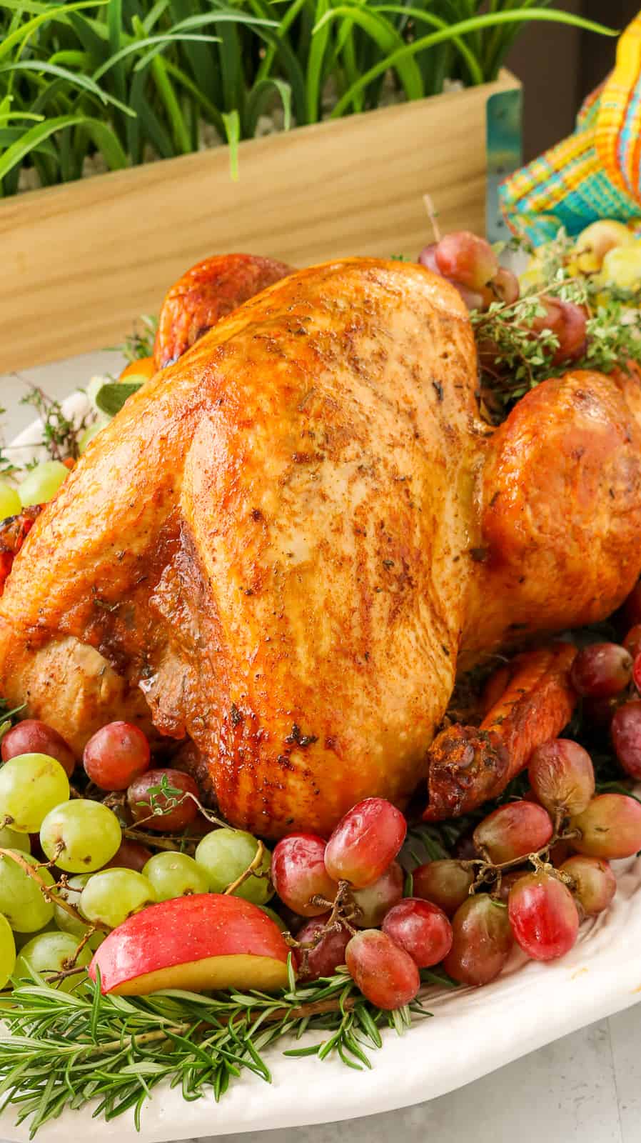 Whole turkey on a bed of grapes, apples, fresh herbs on a white platter