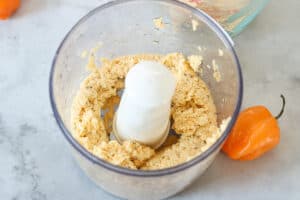 Mashed Plantains in food processor