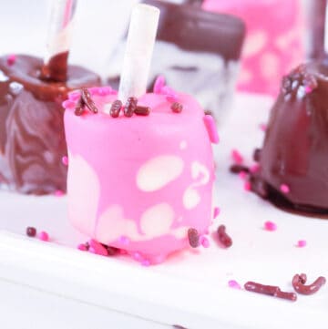 Chocolate Dipped Marshmallows on white plate