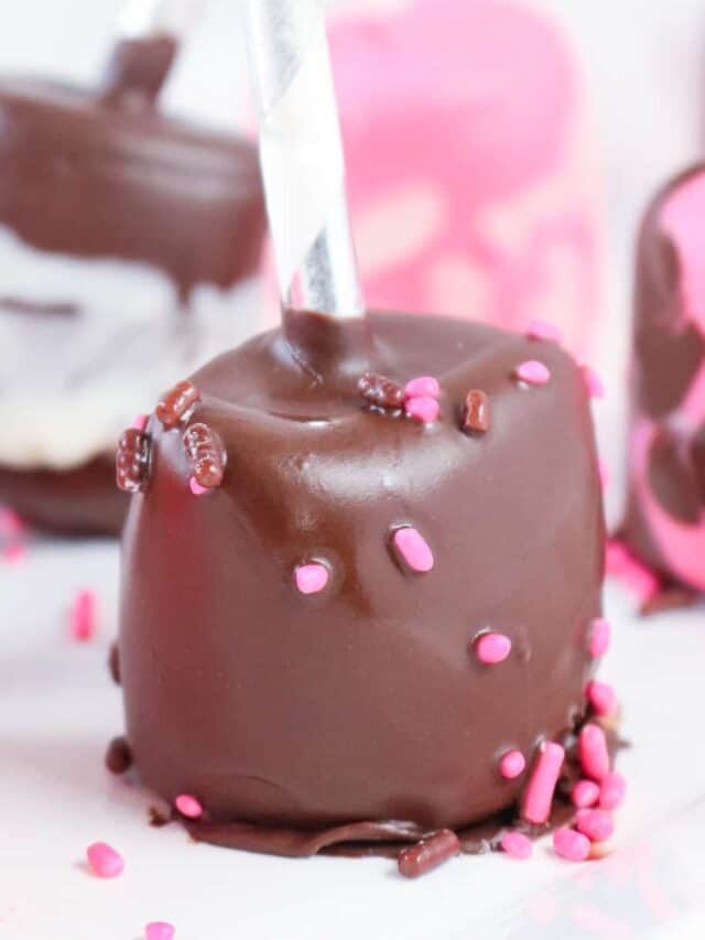 Chocolate Covered Marshmallows