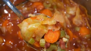 cabbage soup in spoon