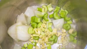 Celery, onion, garlic in instant pot