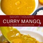 Mango Curry Recipe Pinterest Pin