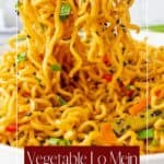 Vegetable Lo Mein Recipe Pinterest Pin - Savory Thoughts