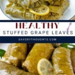 stuffed grape leaves pinterest pin