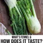What does fennel taste like Pinterest Pin