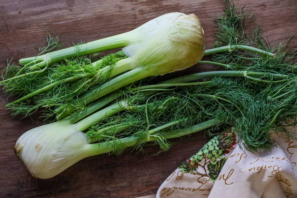 What Does Fennel Taste Like Savory Thoughts
