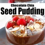 Chocolate seed pudding pinterest pin
