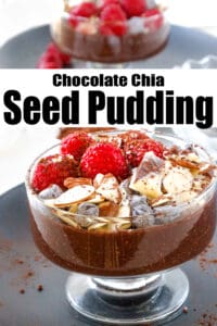 Chocolate seed pudding pinterest pin