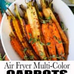 Air Fryer Multi-Colored Carrtos