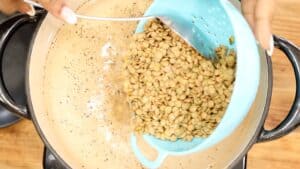 Adding Green Lentils to water