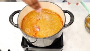 adding seasoning to the soup