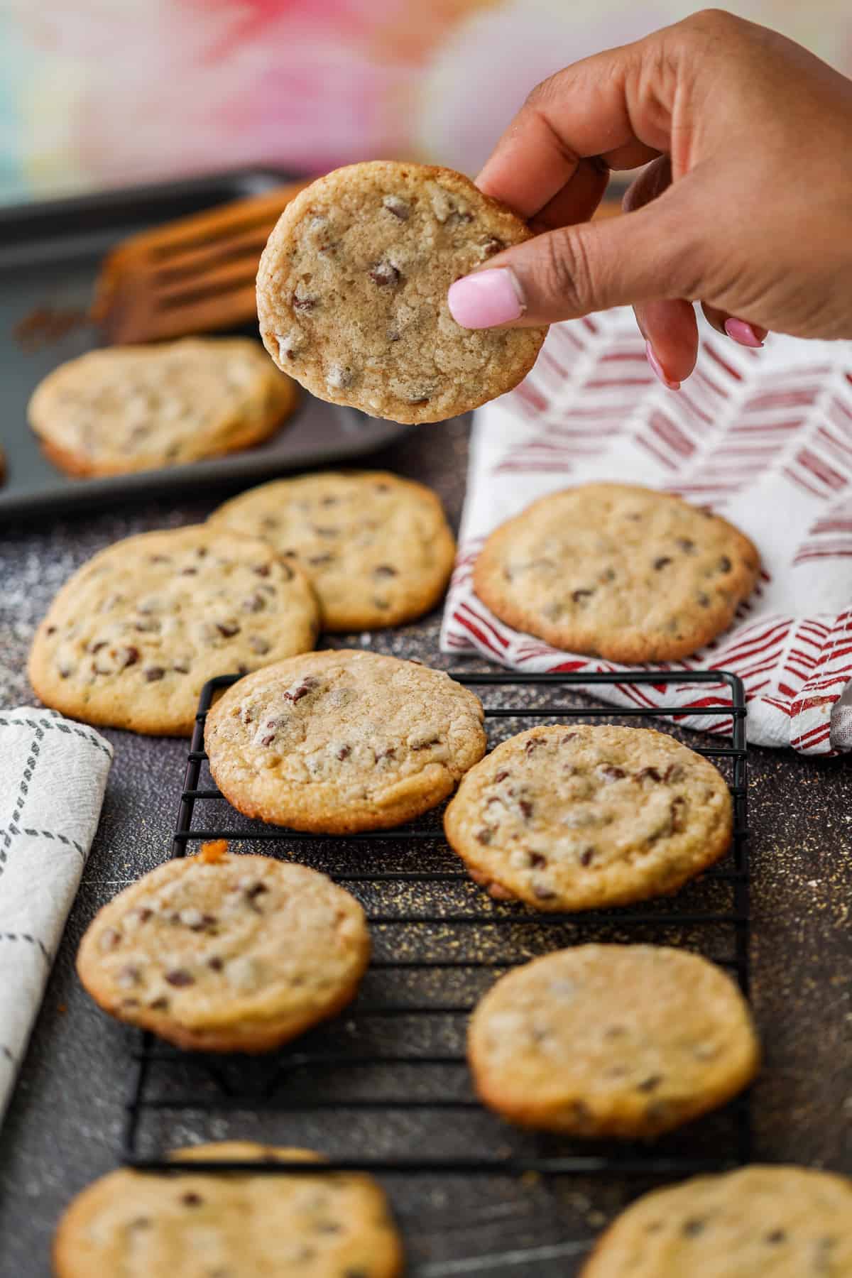 Hand picking up chocolate chip cookie