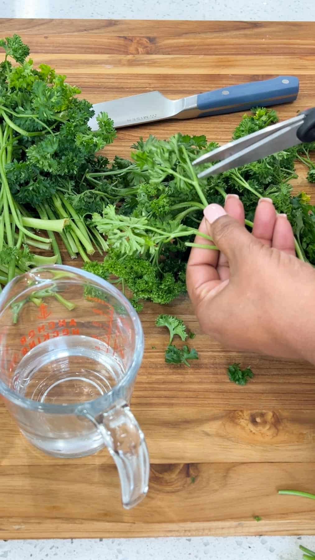 cutting parsley with shears