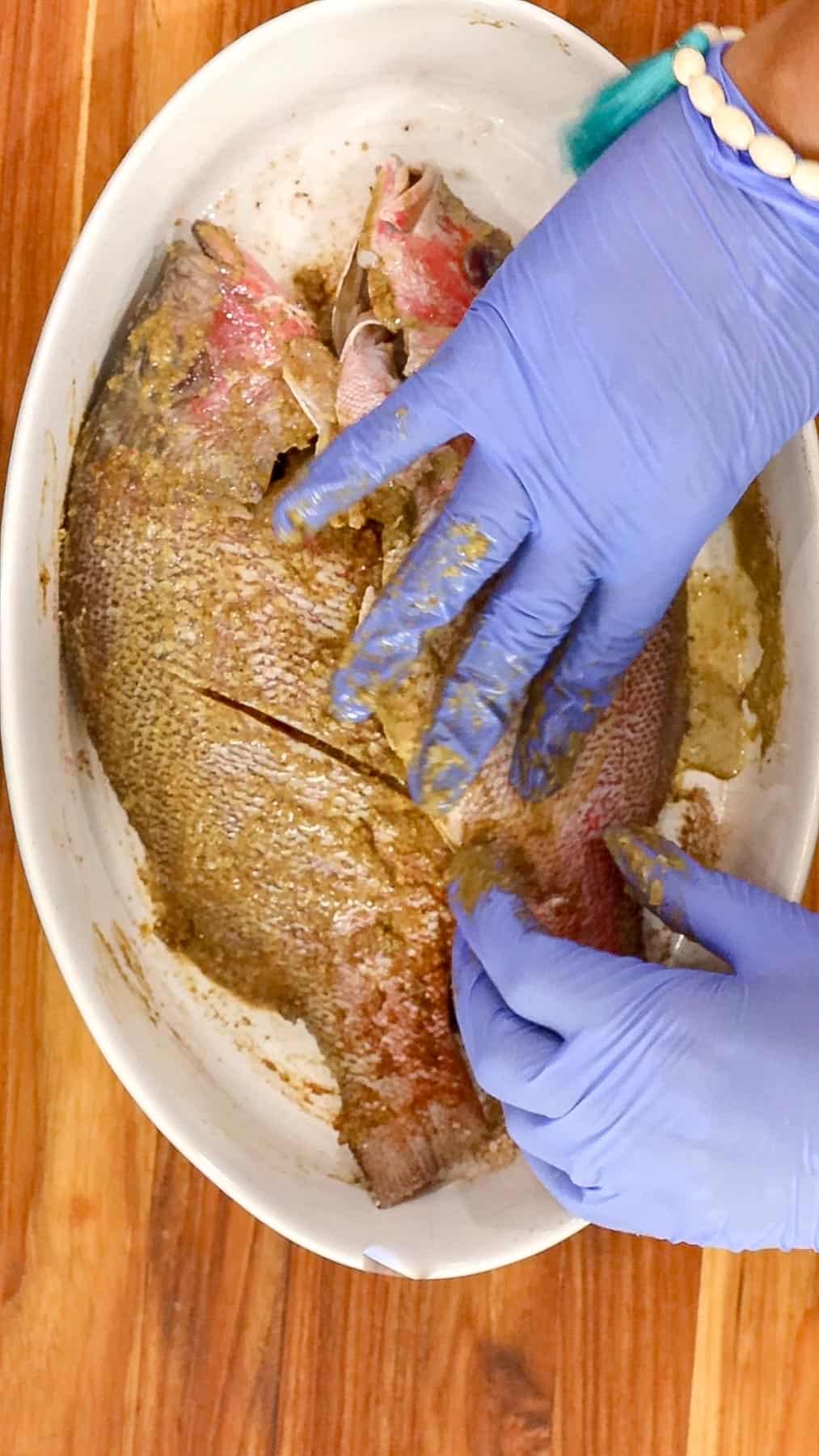 Seasoning red snapper with Haitian Jacmel Seasoning and Haitian Epis