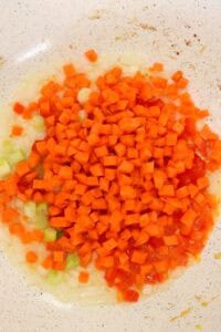 diced carrots, onions, and green onions