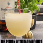 Haitian Jus Citron With Barbancourt garnished with mint leaves - Haitian Cocktail Pinterest Pin