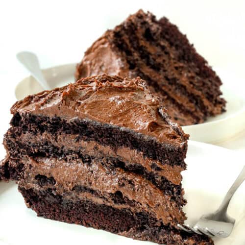 Death by chocolate cake in white plate.