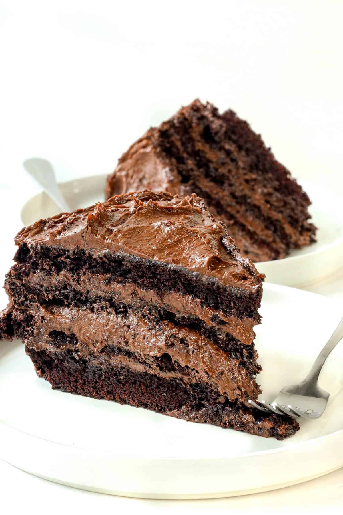 Death by chocolate cake in white plate.