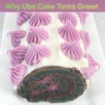 Chameleon Ube Swiss Cake Roll Pinterest Pin