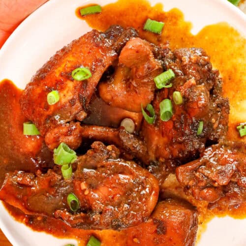 hands holding Chicken Adobo garnished with sliced green onions.