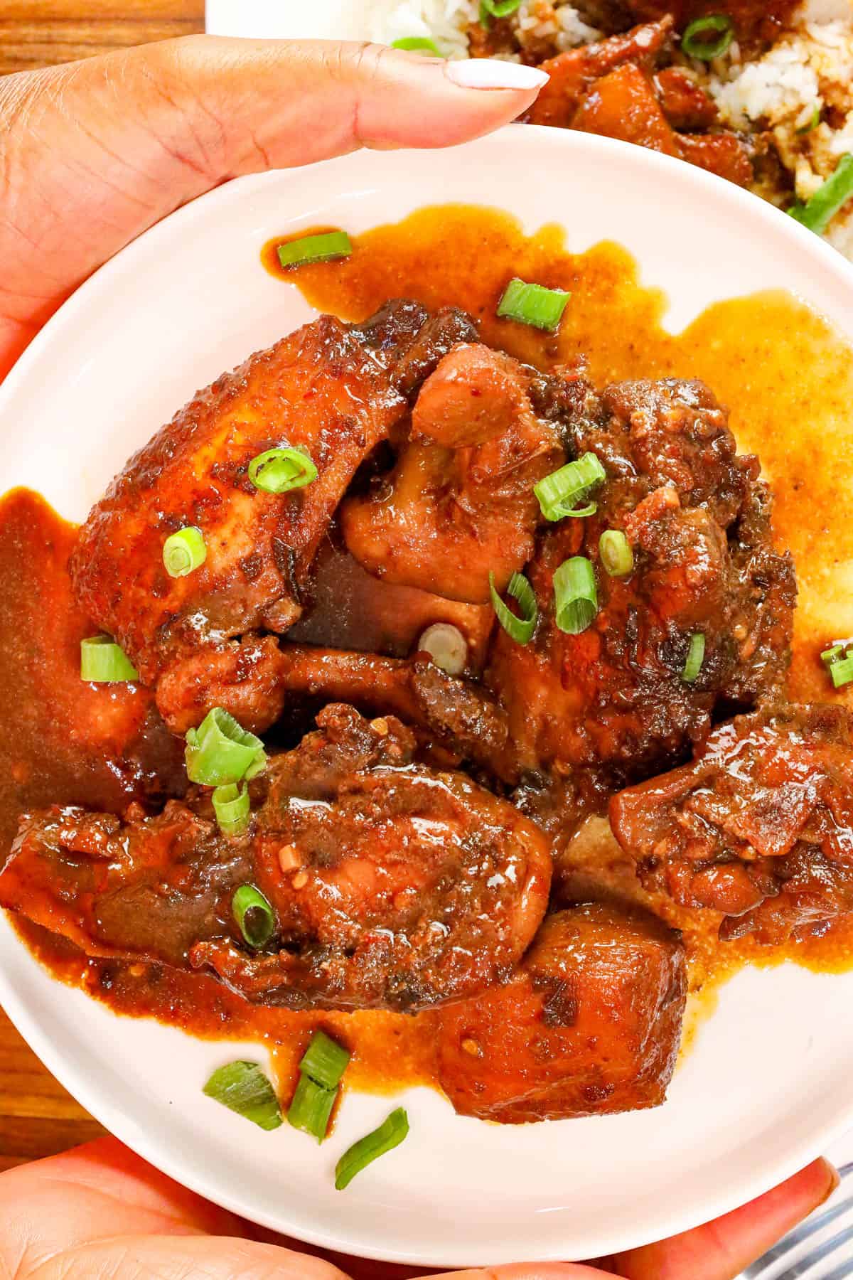 hands holding Chicken Adobo garnished with sliced green onions.
