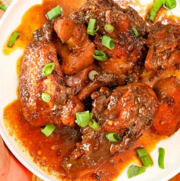 hands holding Chicken Adobo garnished with sliced green onions.